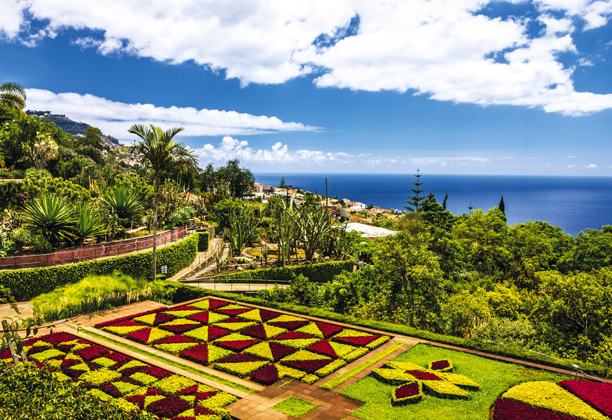 Wie wäre es an Ihren freien Tagen mit einem Ausflug nach Funchal? Der Botanische Garten ist immer einen Besuch wert.