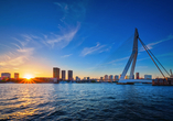 Rotterdam hält einige architektonische Highlights für Sie bereit, wie z.B. die Erasmusbrücke.