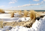 Spazieren Sie über die schneebedeckten Dünen.