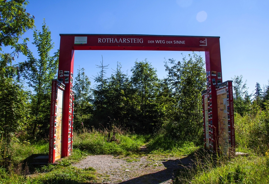 Der Rothaarsteig ist einer der bekanntesten Wanderwege der Region.