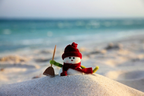 Willkommen zu einem unvergesslichen Weihnachtsurlaub!