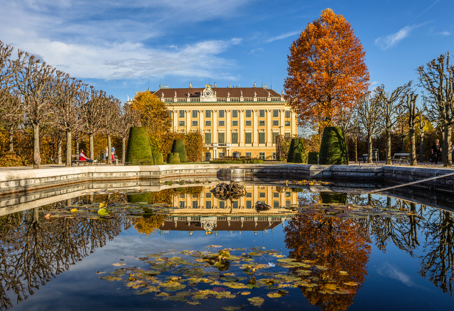 MS Primadonna, Schloss Schönbrunn
