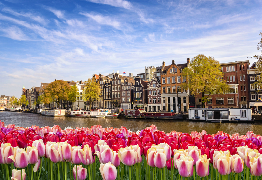 Auch in Amsterdam können Sie die bunte Farbvielfalt der Tulpen bestaunen.