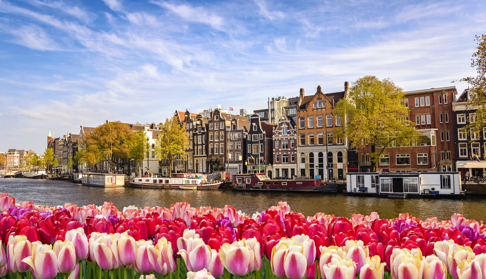 Freuen Sie sich auf eine wunderbare Flusskreuzfahrt und entdecken Sie Amsterdam und seine Umgebung.