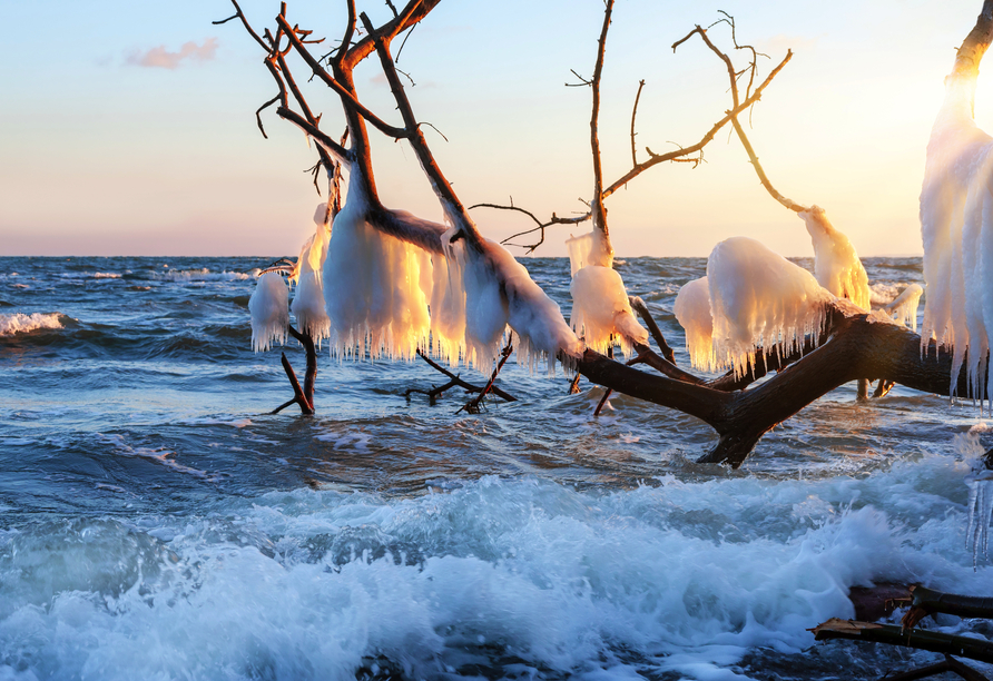 Die Ostsee ist im Winter in ein eisig-glitzerndes Tuch gehüllt.