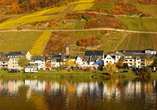 In Zell sollten Sie sich ein Glas Zeller Schwarze Katz nicht entgehen lassen.
