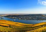 MS VistaSky, Rüdesheim