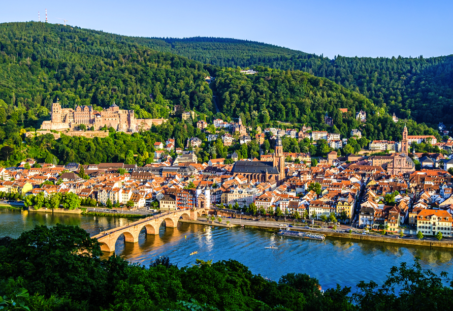 MS Switzerland, Heidelberg
