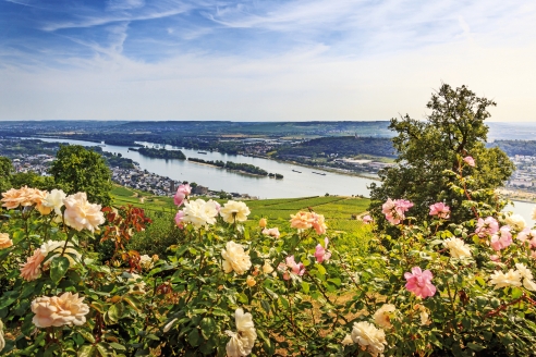 MS Switzerland, Blick vom Niederwald-Denkmal in Rüdesheim auf den Rhein