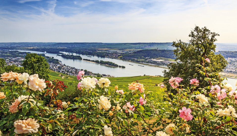 Freuen Sie sich auf tolle Panoramablicke über das Rheintal – wie hier bei Rüdesheim.