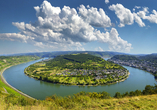 MS Switzerland, Blick von Boppard auf die Rheinschleife.