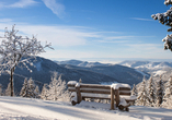 Auch im Winter ist der Schwarzwald ein wahres Paradies.
