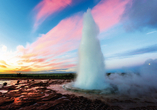 Der Stokkur Geysir spuckt ca. alle 7 Minuten eine Wasserfontäne in die Höhe – seien Sie mit dabei!