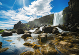 Den Thingvellir Nationalpark werden Sie bei einem inkludierten Ausflug durchforsten.