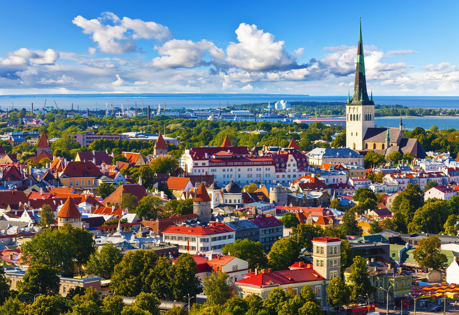 Panoramablick auf Tallinn in Estland