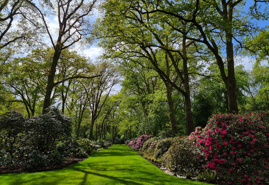 Auf rund 46 Hektar erwarten SIe hier über 10.000 Rhododendron- und Azaleen-Büsche.