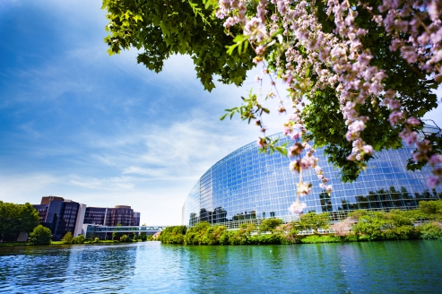 Das Europäische Parlament, der Europäische Gerichtshof für Menschenrechte und der Europarat bringen weltpolitisches Flair in die Stadt.