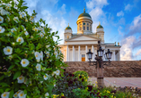 Helsinkis Architektur müssen Sie sich genauer anschauen. Die St. Nicholas Kathedrale zum Beispiel bietet ein tolles Fotomotiv.
