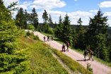 Der Thüringer Wald bietet zahlreiche Möglichkeiten zum Wandern. 
