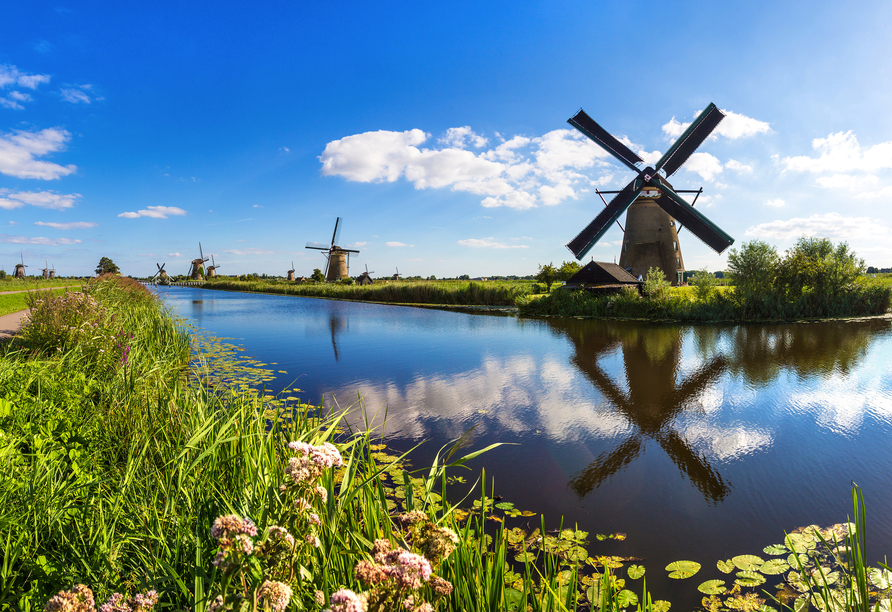 Sowohl in den Niederlanden als auch in Belgien lassen sich viele alte Windmühlen bestaunen.