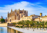 Verbringen Sie erholsame Tage in Palma de Mallorca und besichtigen Sie historische Bauten wie die Kathedrale 