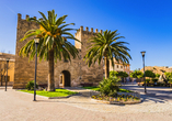 Lassen Sie sich von der wunderschönen Stadt Alcúdia faszinieren!