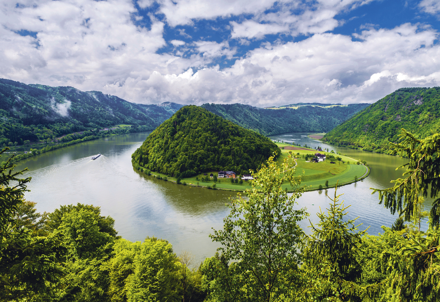 Wunderschöne Landschaften erwarten Sie entlang der Donau – wie hier an der Schlögener Schlinge in Österreich.