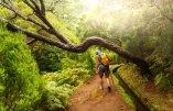 Die Levadas sind künstlich angelegte Wasserläufe, die heutzutage als Wanderwege dienen.