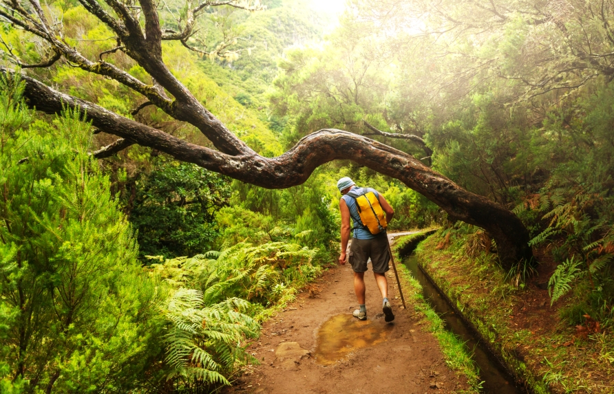 Die Levadas sind künstlich angelegte Wasserläufe, die heutzutage als Wanderwege dienen.