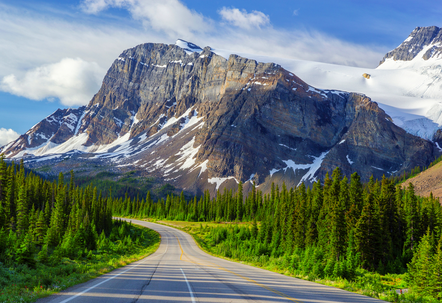 Halten Sie Ihre Kamera bereit: Sie fahren entlang der Bergstraße Icefields Parkway und halten für Fotos.