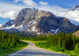 Halten Sie Ihre Kamera bereit: Sie fahren entlang der Bergstraße Icefields Parkway und halten für Fotos.