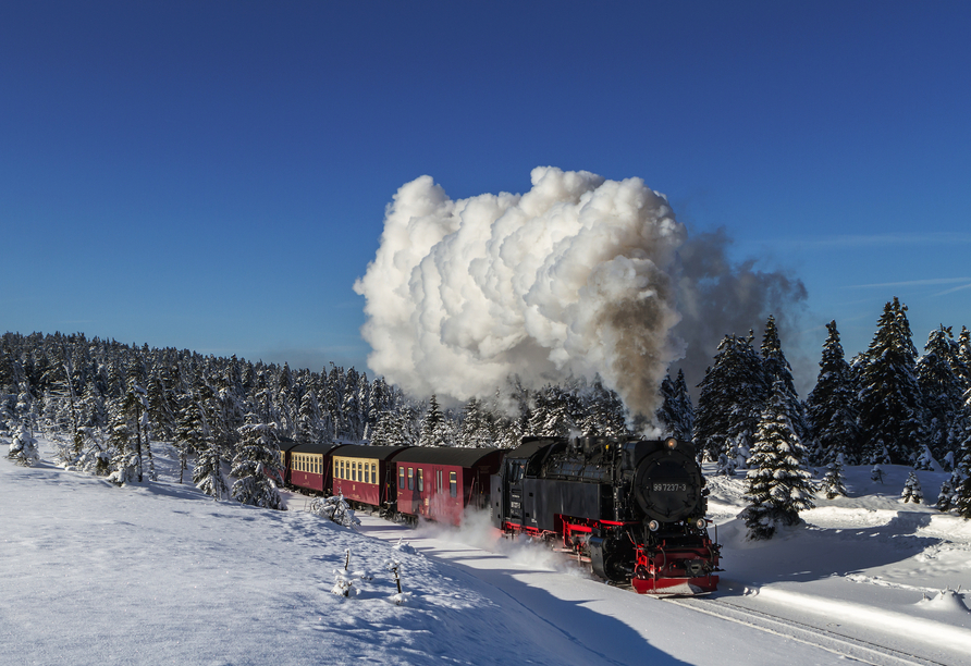 Unternehmen Sie doch einen typischen Ausflug im Harz und fahren Sie mit der Brockenbahn.