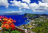 Optional können Sie einen Ausflug nach Capri buchen.