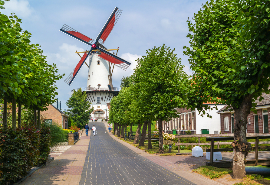 Ruhe und Natur finden Sie in der kleinen holländischen Festungsstadt Willemstad.