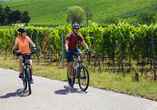 Leihen Sie sich ein Fahrrad und unternehmen Sie eine schöne Tour durch die Weinberge oder entlang der Ahr.