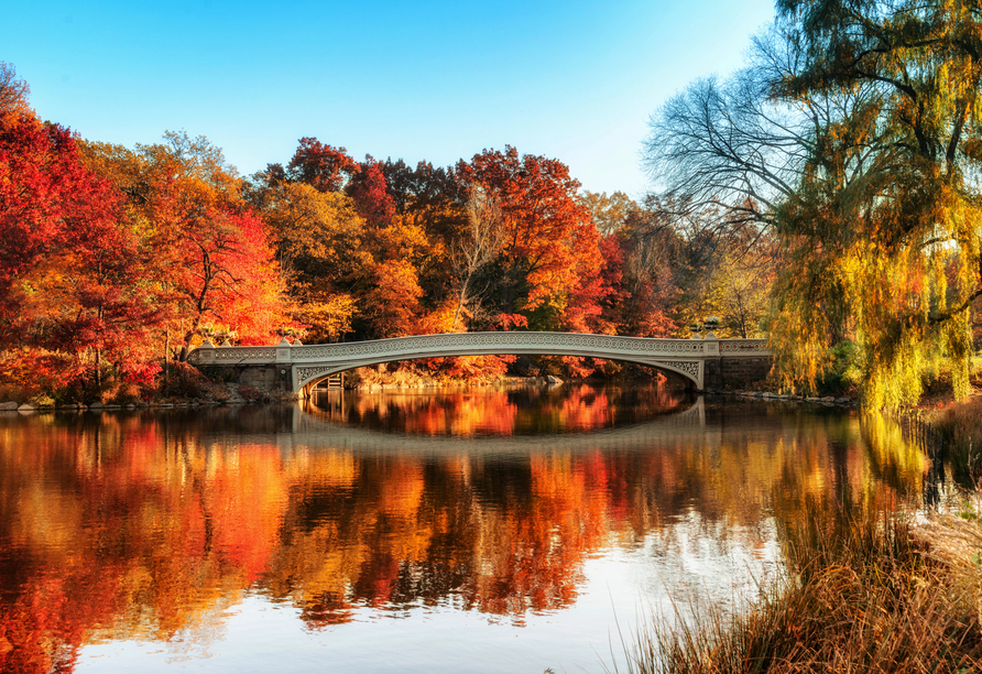 Unternehmen Sie einen Spaziergang durch den Central Park, der im Herbst ein besonders schönes Fotomotiv abgibt.