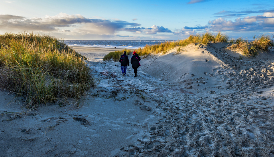 Spazieren Sie an der Nordsee entlang.