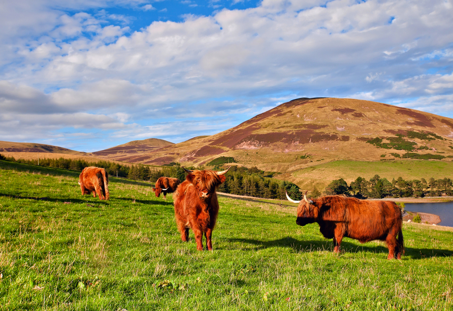 Schottland beeindruckt vielerorts mit malerischen Landschaftspanoramen.