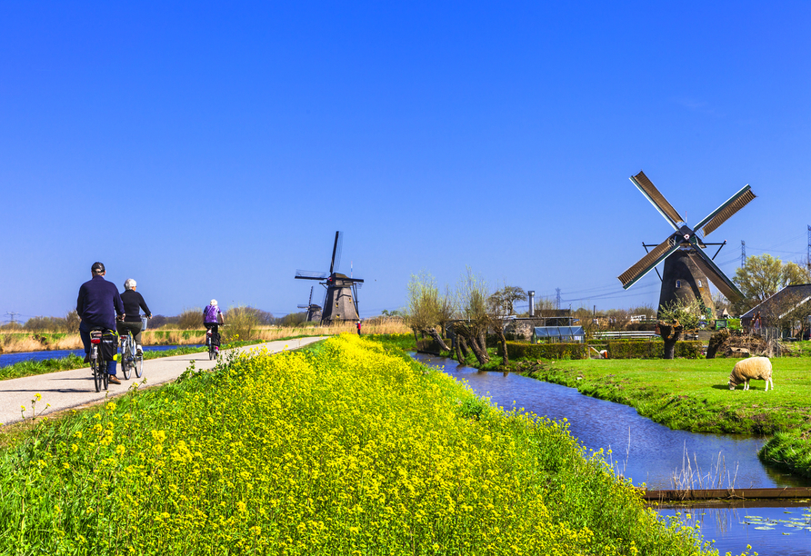 Die ikonischen Windmühlen der Niederlande lassen sich auf dem Rad hervorragend erkunden.