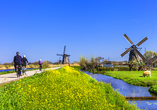 Die ikonischen Windmühlen der Niederlande lassen sich auf dem Rad hervorragend erkunden.