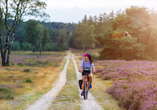 Den zauberhaften Nationalpark De Hoge Veluwe können Sie am besten mit dem Fahrrad erkunden.