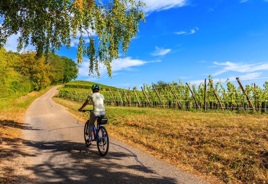 Genießen Sie entspannte Radtouren durch die sonnenverwöhnten Weinberge der Moselregion.