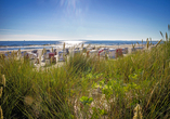 Nehmen Sie in einem Strandkorb Platz.