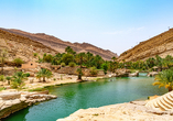 Die Oase Wadi Bani Khalid überrascht Sie mit ihren smaragdgrünen Naturpools.