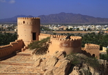 Die historische Festung in Nakhl bezaubert Sie mit einem traumhaften Ausblick auf die umliegenden Dattelhaine.