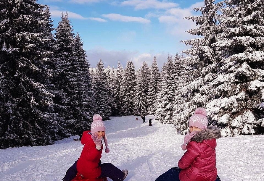 Im Winter – wenn ordentlich Schnee liegt – können Sie prima Schlitten fahren.