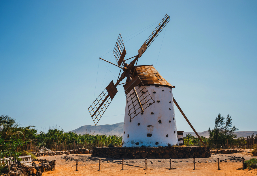 Auf Fuerteventura prägen pittoreske alte Windmühlen das Landschaftsbild.