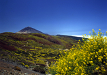 Der Vulkan Teide erhebt sich imposant im Zentrum der Insel Teneriffa.