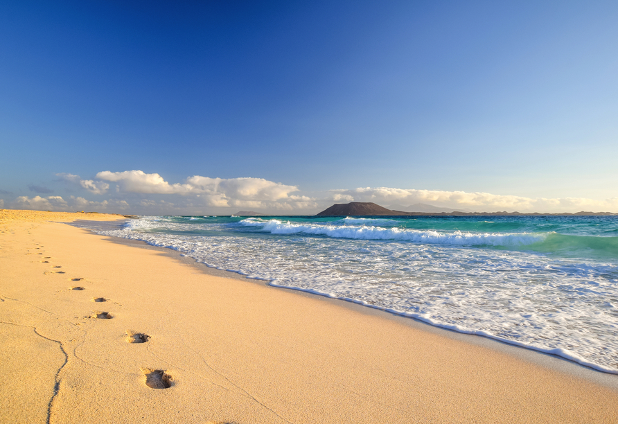 Fuerteventura bietet weiße Sandstrände mit türkisblauem Wasser wie aus dem Bilderbuch.