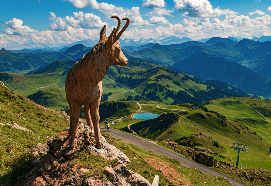 In den Kitzbüheler Alpen warten atemberaubende Aussichten und schier endlose Wanderwege auf Sie.